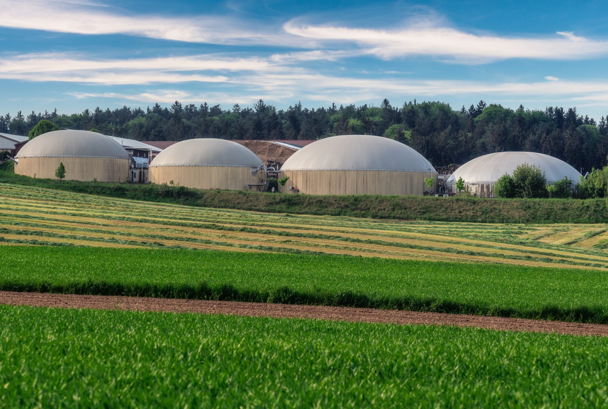 bioplynová enektrareň | green energy