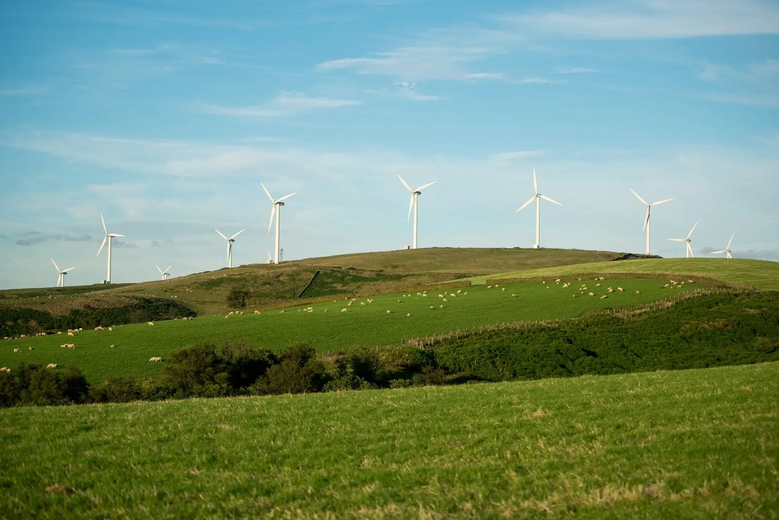 Veterné turbíny v zelenej krajine s modrým nebom, používané v kontaktnej sekcii