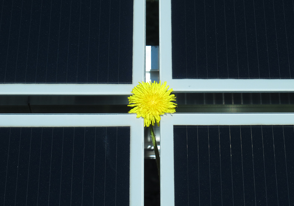 Solárny park Biskupice, green energy slovakia.